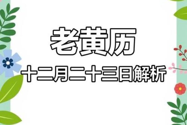 属兔2021年开工黄道吉日2月 属兔2021年开工黄道吉日2月