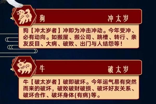 属龙2025年多大了 2025年3月属龙人年龄解析各出生年份岁数速查