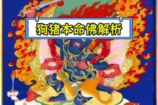 2007年2月6日属猪还是属狗 2007年2月属猪是什么命