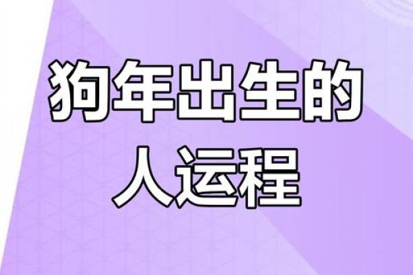 2025年属狗运势详解财运事业爱情全面解析
