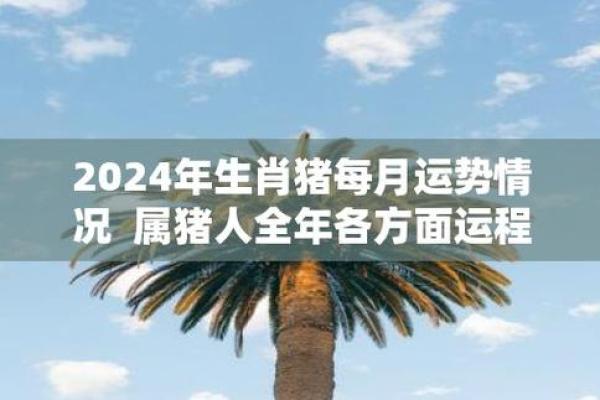 属猪人2026年全年运势及运程_属猪人2026年运势详解全年运程预测与吉凶分析 属猪人2026年全年运势及运程_属猪人2026年运势详解全年运程预测与吉凶分析