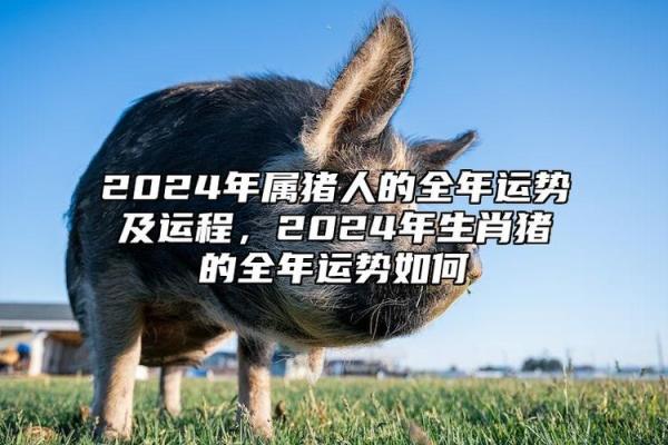 属猪人2026年全年运势及运程_属猪人2026年运势详解全年运程预测与吉凶分析 属猪人2026年全年运势及运程_属猪人2026年运势详解全年运程预测与吉凶分析