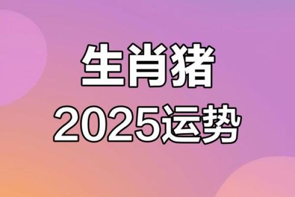 属猪的2025年运势如何 2025年71属猪人的全年运势如何 属猪的2025年运势如何 2025年71属猪人的全年运势如何