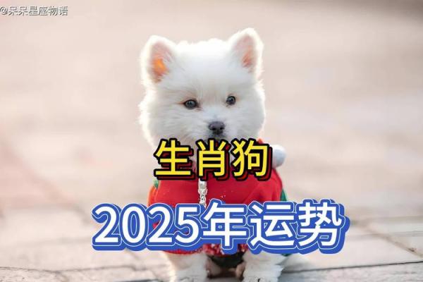 2006年狗五行属什么命_2006年狗五行属什么命缺什么