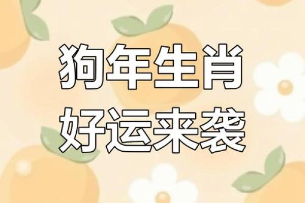 2025年属狗今日运势详解财运事业感情全解析 2025年属狗今日运势详解财运事业感情全解析