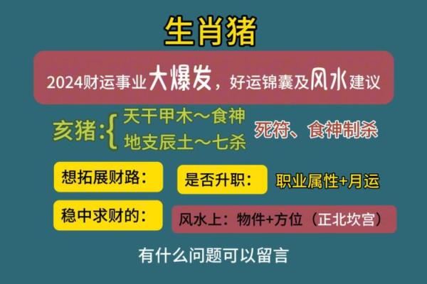 属猪的男人2025年运势_属猪男2023年运势及运程每月运程 属猪的男人2025年运势_属猪男2023年运势及运程每月运程