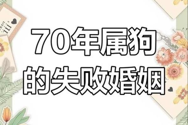属狗的人命中有两段婚姻_属狗的人命中有两段婚姻真的也