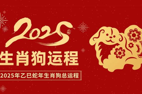 82年属狗2025全年运势_2025年属狗全年运势详解82年出生者必看 82年属狗2025全年运势_2025年属狗全年运势详解82年出生者必看