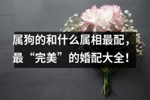 属狗的最佳配偶属相 属狗的最佳配偶属相揭秘12生肖中的完美配对 属狗的最佳配偶属相 属狗的最佳配偶属相揭秘12生肖中的完美配对