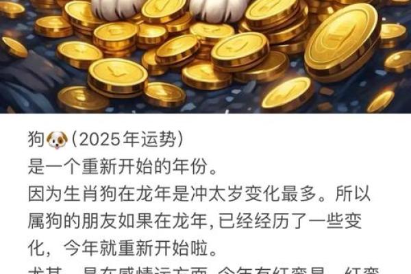 70年2025年属狗人的全年运势_2025年属狗人全年运势及运程