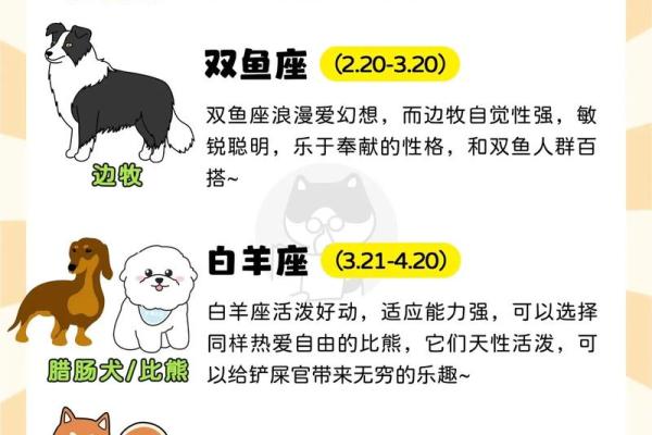 1970年属狗什么星座_1970年属狗是什么座