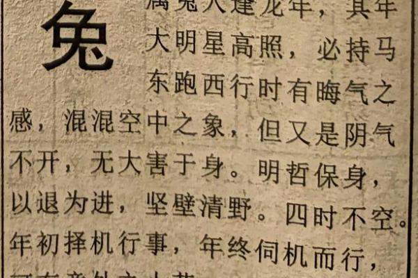 1951年属兔五行属什么命_1951年属兔吗