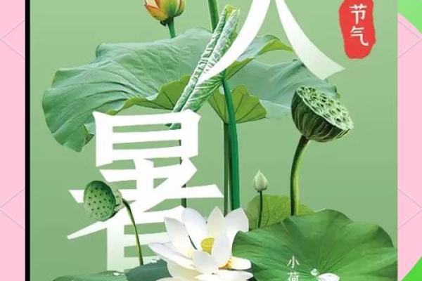 大暑下雨预示什么 有什么说法