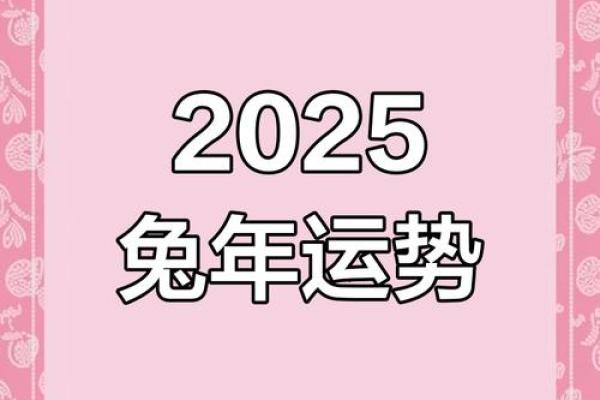 属兔的2025运势_63年属兔的2025年运势