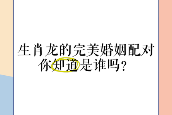 兔跟龙属相婚配如何 兔龙属相婚配解析缘分深浅与幸福指数揭秘