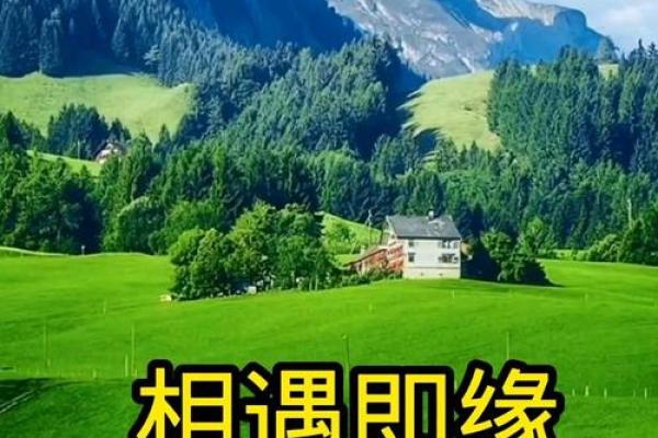 相识即是缘分下一句话_相识即是缘起 相识即是缘分下一句话_相识即是缘起