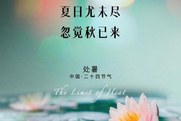 处暑是几月几日2024年 处暑是几月几日2024年