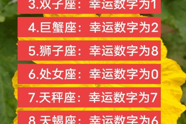 紫微科技星座白羊座今日运势(紫薇科技星座白羊座今日运势) 紫微科技星座白羊座今日运势(紫薇科技星座白羊座今日运势)