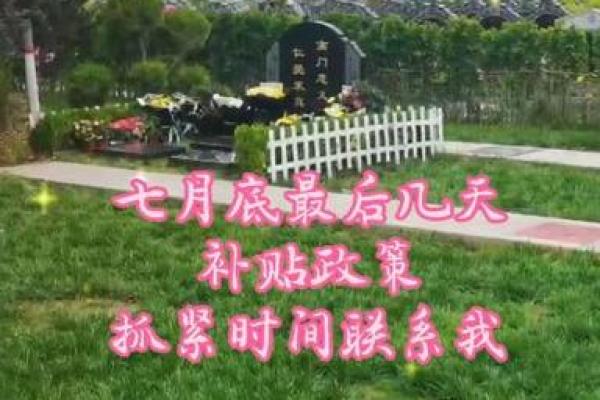 2025年3月份坟地动土吉言(2025年3月份坟地动土吉言是什么)