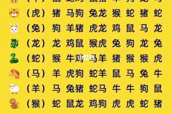 属鼠的和什么属相最配 属鼠的和什么属相相克