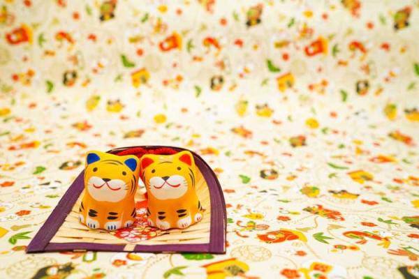 动土是什么(动土是什么生肖)