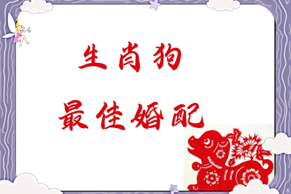 属狗跟属马的姻缘怎么样 属狗与属马姻缘解析配对指数与幸福秘诀