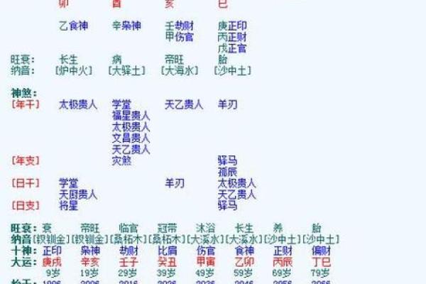 排四柱测八字排盘精准预测未来运势指南 排四柱测八字排盘精准预测未来运势指南