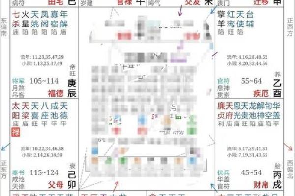 2025年4月9日亥时男命紫微斗数全解盘