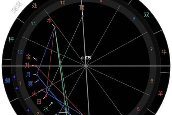 2025年4月8日丑时男命紫微斗数全解盘 2025年4月8日丑时男命紫微斗数全解盘