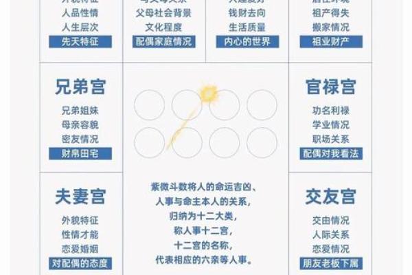 2025年4月3日酉时女命紫微斗数全解盘