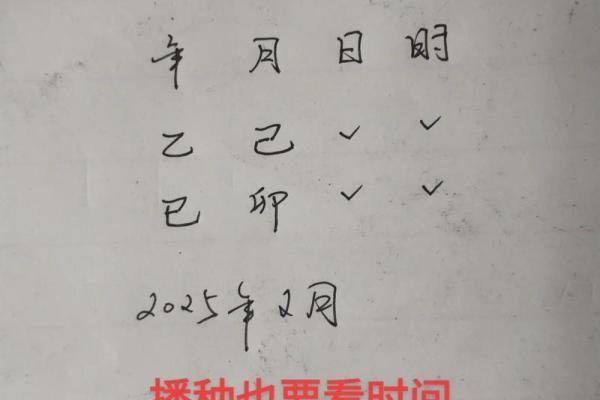 2025年生宝宝是什么命 2025年生宝宝是什么命