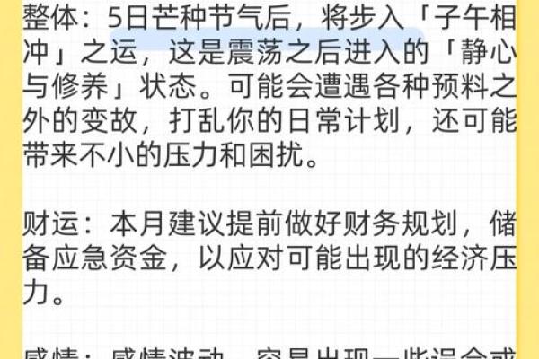 84年鼠女2025年属鼠人的全年运势