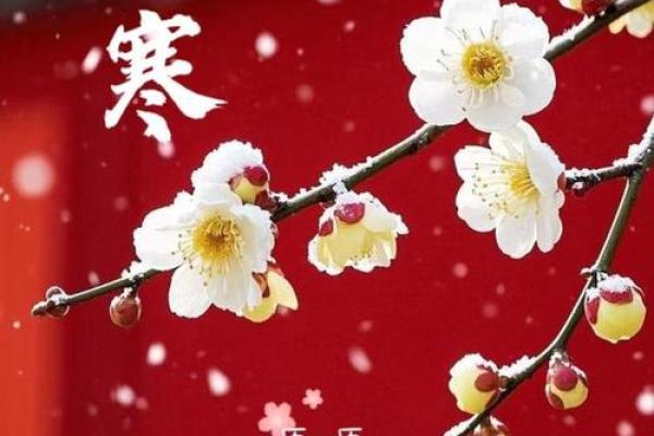 2025大寒后几天动土最好 2025大寒后几天动土最好