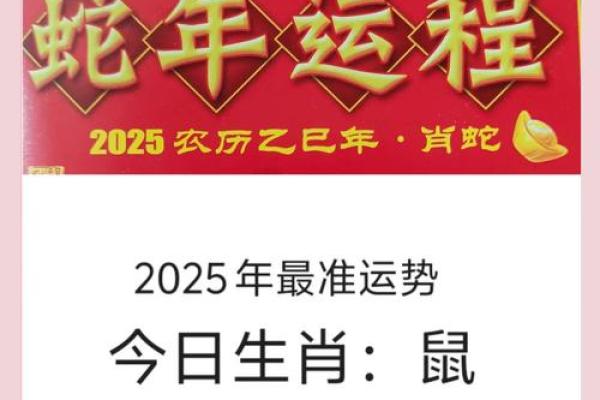 2008年属鼠2025年中考运势