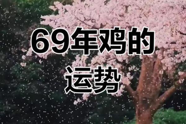 1969年属鸡人2025年运势 1969年属鸡人2025年运势详解财运事业健康全解析