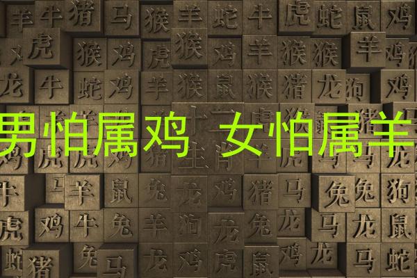 属鸡和属羊的婚姻相配吗_男羊女鸡能过一辈子吗