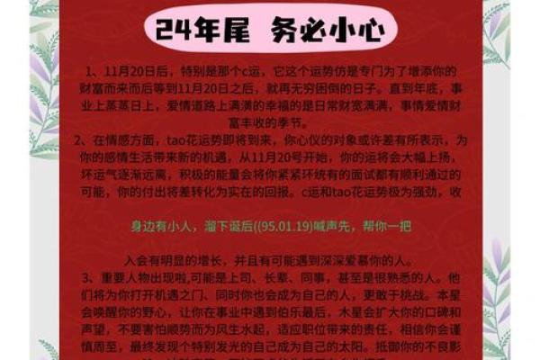 2005年属鸡2025年运势_2005年属鸡2025年运势女