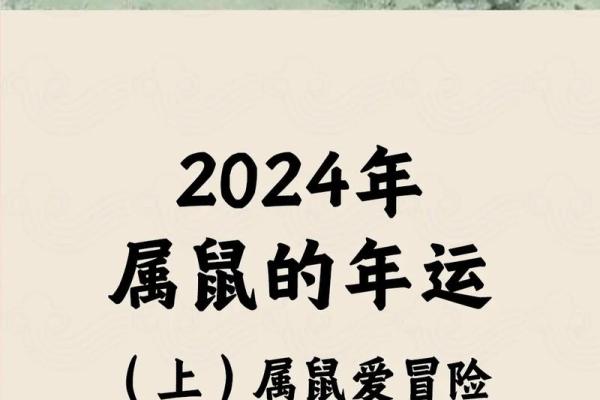 72年属鼠人2025年运势怎么样