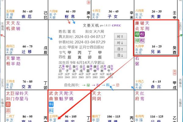 2025年4月1日巳时女命紫微斗数全解盘