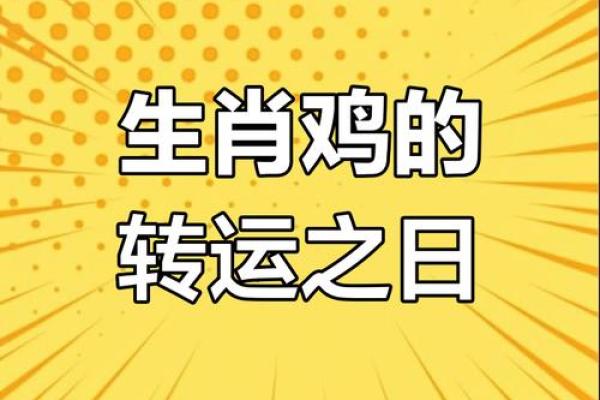 属鸡2025财运如何 1993属鸡2025财运如何
