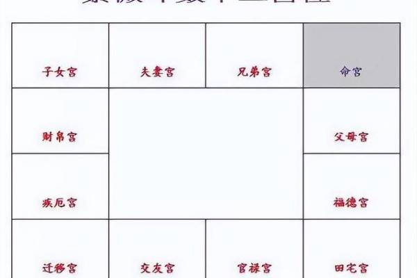 2025年4月2日寅时女命紫微斗数全解盘