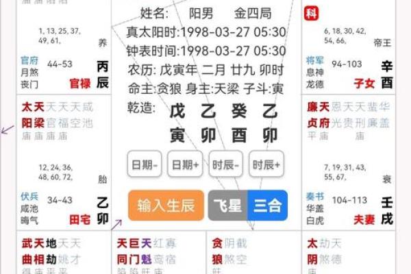 2025年4月6日卯时男命紫微斗数全解盘