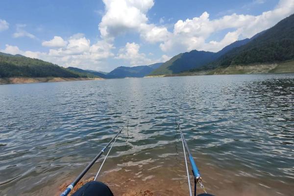 梦见钓到鱼是什么意思