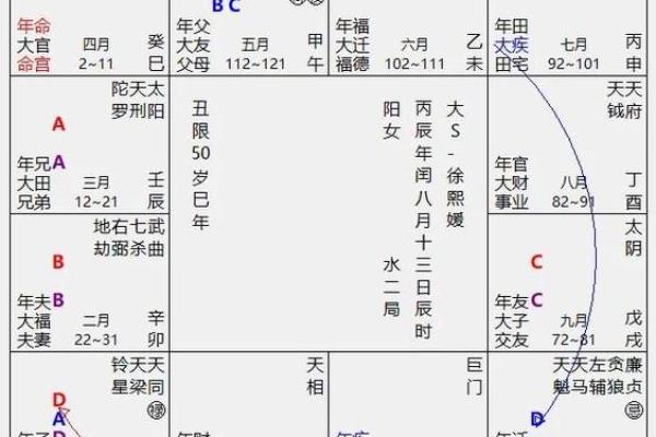 2025年4月9日寅时男命紫微斗数全解盘 2025年4月9日寅时男命紫微斗数全解盘