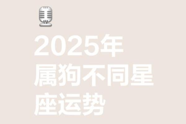 2025年属狗女人的运势如何 1982属狗女2025年运势完整版