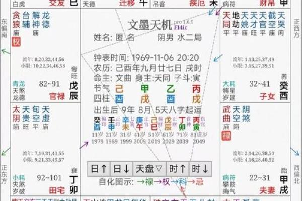 2025年4月5日巳时女命紫微斗数全解盘 2025年4月5日巳时女命紫微斗数全解盘