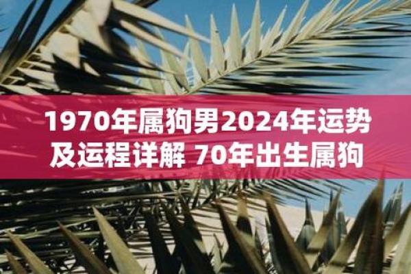 70属狗2025年运势及运程详解_2025年70属狗运势详解运程分析与吉凶预测