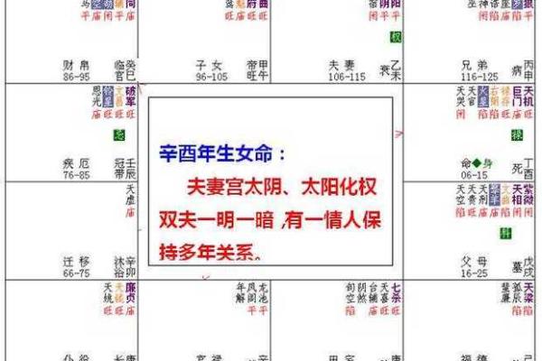2025年4月9日午时男命紫微斗数全解盘 2025年4月9日午时男命紫微斗数全解盘