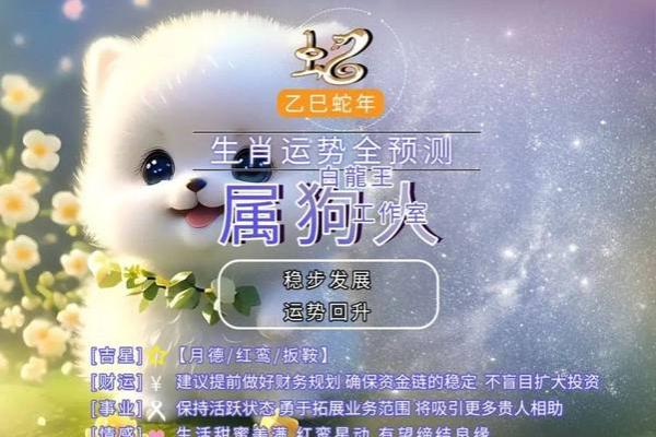 属狗多大2025年虚岁了_属狗人2021多大 属狗多大2025年虚岁了_属狗人2021多大