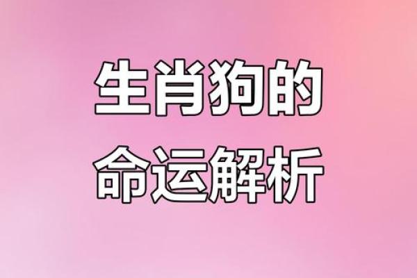 1994年属狗今日运势柱982年属狗女2025年_1994年属狗今日运势解析1982年属狗女2025年运程预测 1994年属狗今日运势柱982年属狗女2025年_1994年属狗今日运势解析1982年属狗女2025年运程预测
